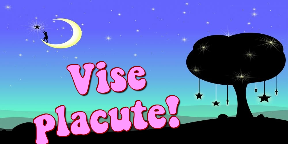 Vise placute!