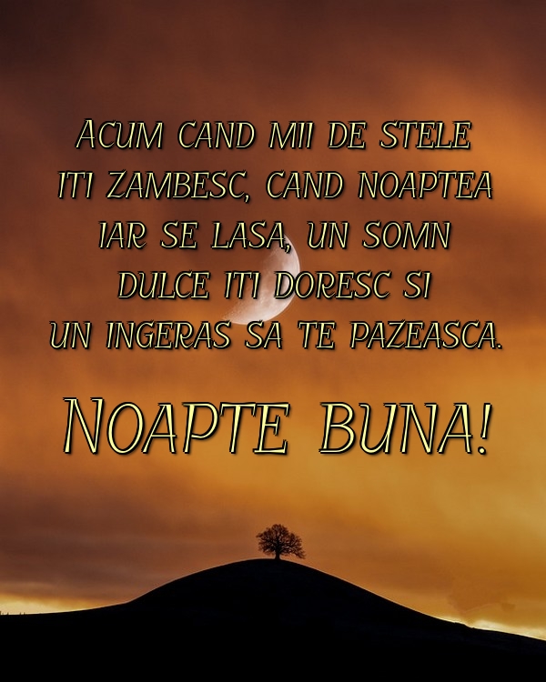 Noapte buna!