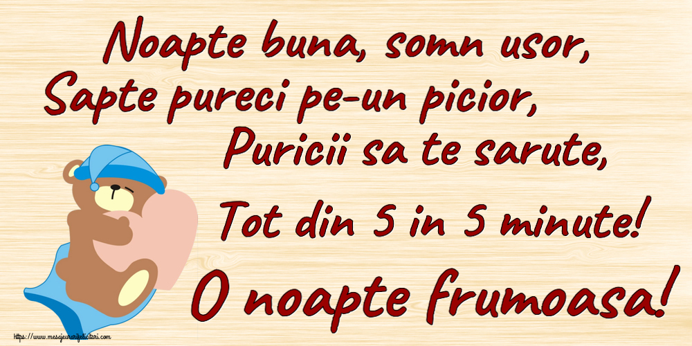 Noapte buna, somn usor, Sapte pureci pe-un picior, Puricii sa te sarute, Tot din 5 in 5 minute! O noapte frumoasa!