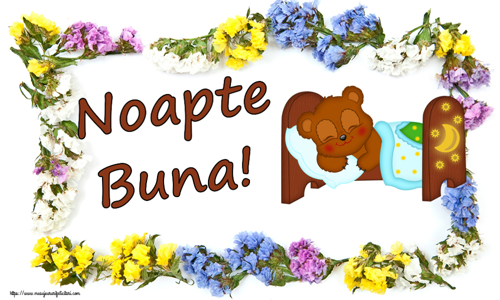 Noapte buna Noapte Buna!