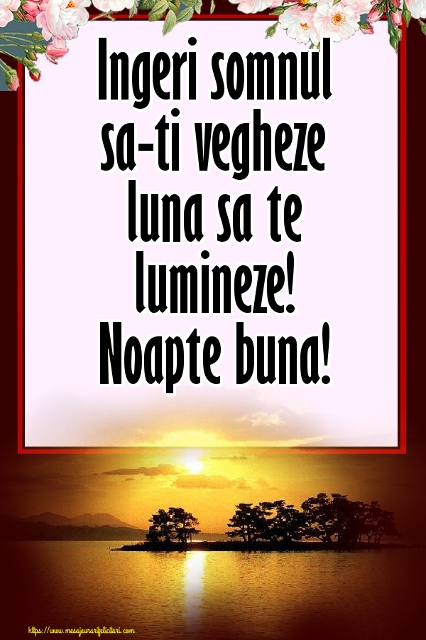 Ingeri somnul sa-ti vegheze luna sa te lumineze! Noapte buna! ~ șampanie cu pahar