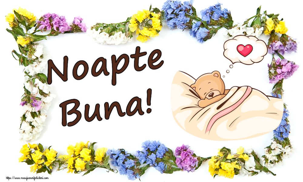 Noapte buna Noapte Buna!