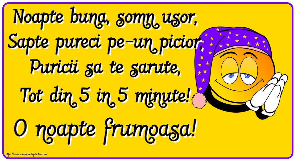 Noapte buna, somn usor, Sapte pureci pe-un picior, Puricii sa te sarute, Tot din 5 in 5 minute! O noapte frumoasa!