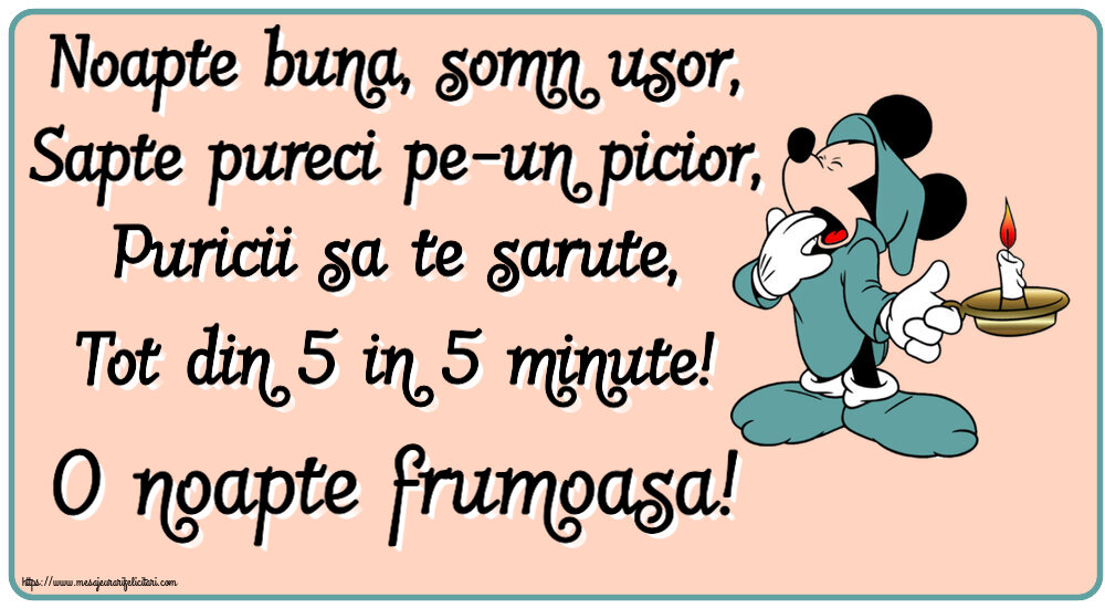 Noapte buna, somn usor, Sapte pureci pe-un picior, Puricii sa te sarute, Tot din 5 in 5 minute! O noapte frumoasa!
