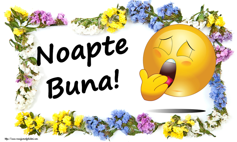 Noapte buna Noapte Buna!