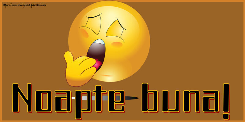 Noapte buna Noapte buna!