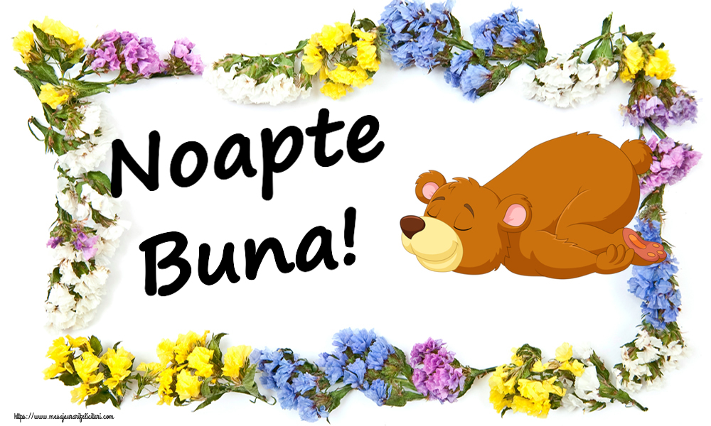 Noapte Buna!