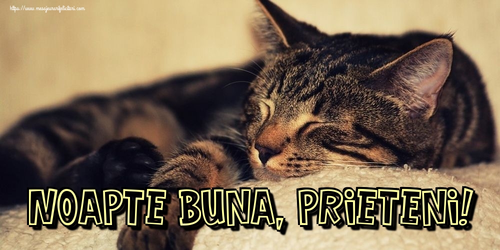 Felicitari de noapte buna - Noapte buna, prieteni! - mesajeurarifelicitari.com
