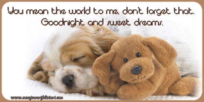 Felicitari de noapte buna in Engleza - You mean the world to me, don’t forget that. Goodnight and sweet dreams.