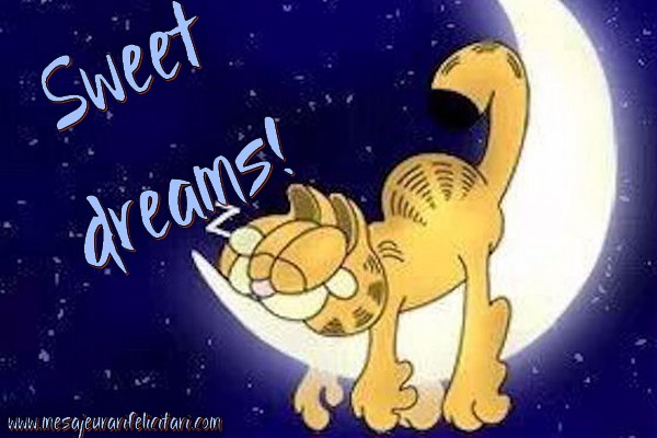 Felicitari de noapte buna in Engleza - Sweet dreams!