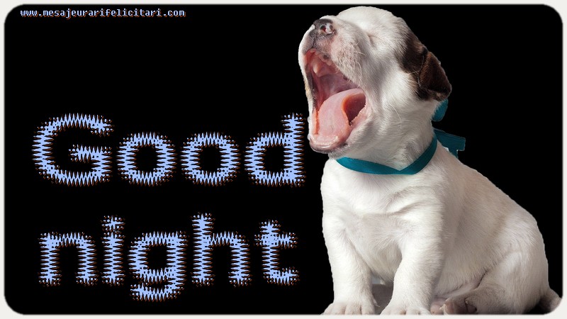 Felicitari de noapte buna in Engleza - Good night - mesajeurarifelicitari.com
