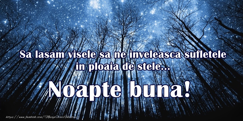 Noapte buna! Sa lasam visele sa me inveleasca sufletele