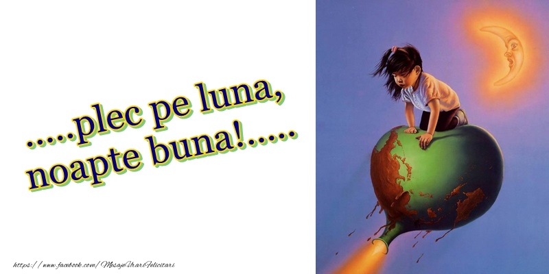 Felicitari de noapte buna - ...plec pe luna, noapte buna!... - mesajeurarifelicitari.com