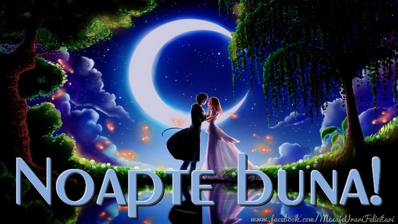 Felicitari de noapte buna - Noapte buna! - mesajeurarifelicitari.com