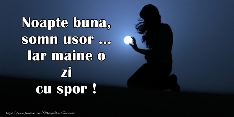 Noapte buna, somn usor...Iar maine o zi cu spor!