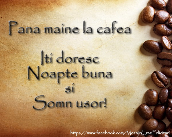 Pana maine la cafea ... Somn usor!