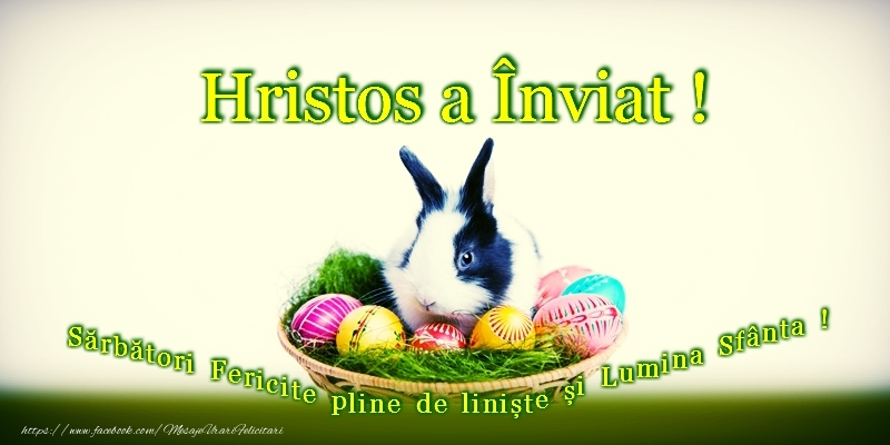 Felicitari de Paste - Paste Fericit! - mesajeurarifelicitari.com