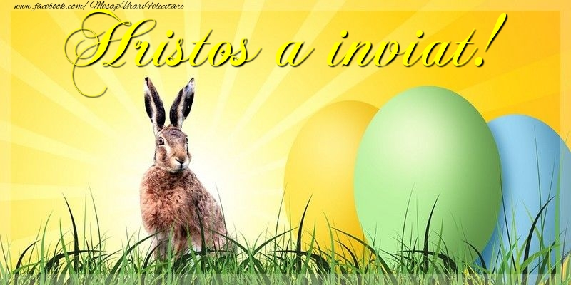 Felicitari de Paste - Hristos a inviat! - mesajeurarifelicitari.com