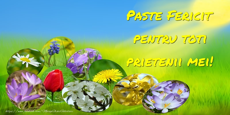 Paste Fericit pentru toti prietenii mei!