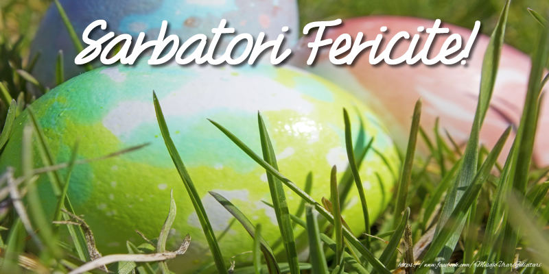 Sarbatori Fericite!