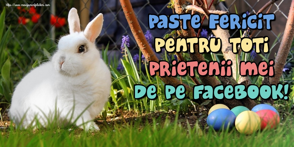 Felicitari de Paste - Paste Fericit pentru toti prietenii mei de pe facebook! - mesajeurarifelicitari.com