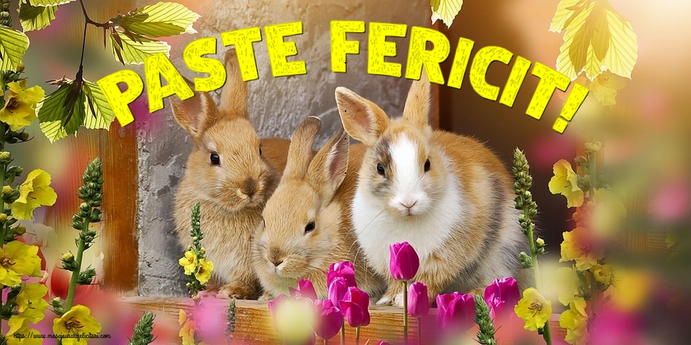 Paste Fericit!