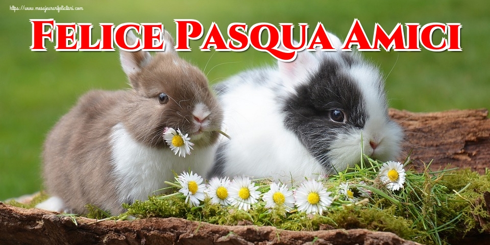 Felicitari de Paste in Italiana - Felice Pasqua Amici