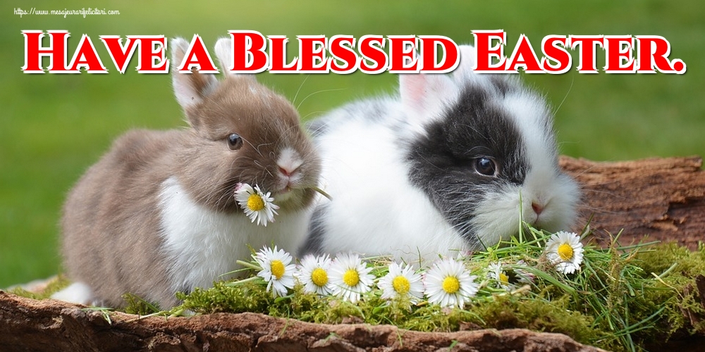 Felicitari de Paste in Engleza - Have a Blessed Easter.