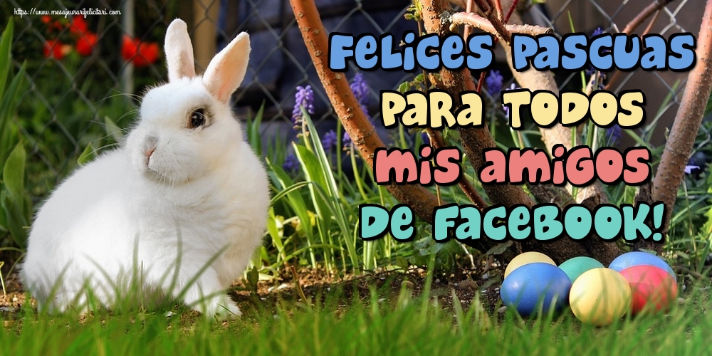 Felicitari de Paste in Spaniola - Felices Pascuas para todos mis amigos de facebook!
