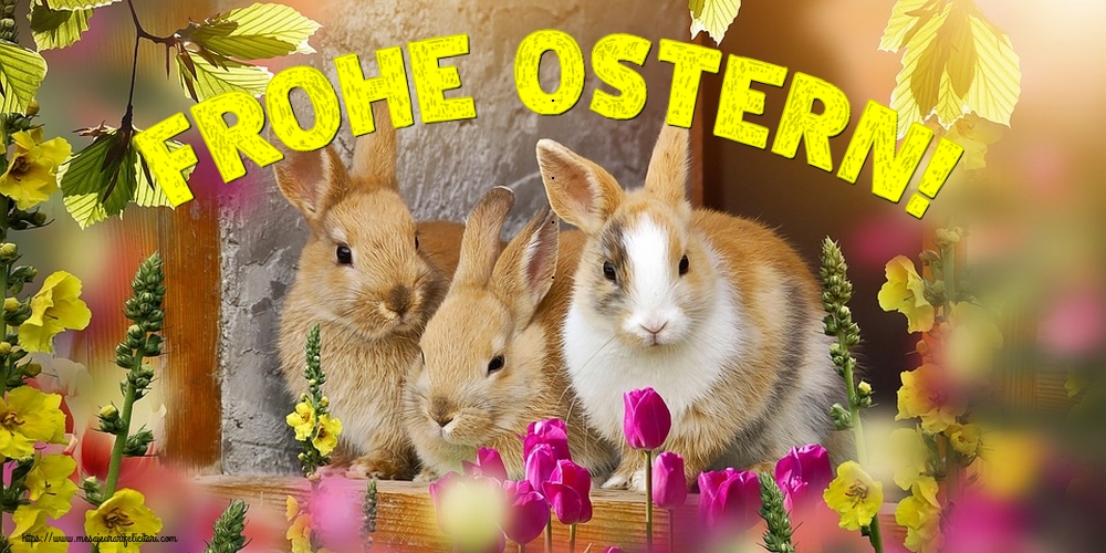 Felicitari de Paste in Germana - Frohe Ostern!