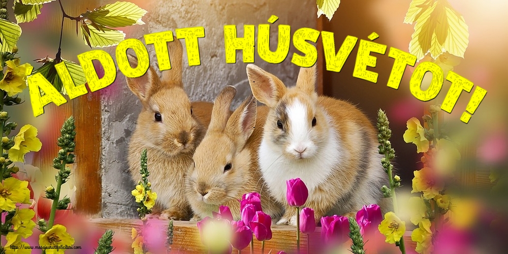 Felicitari de Paste in Maghiara - Áldott Húsvétot!