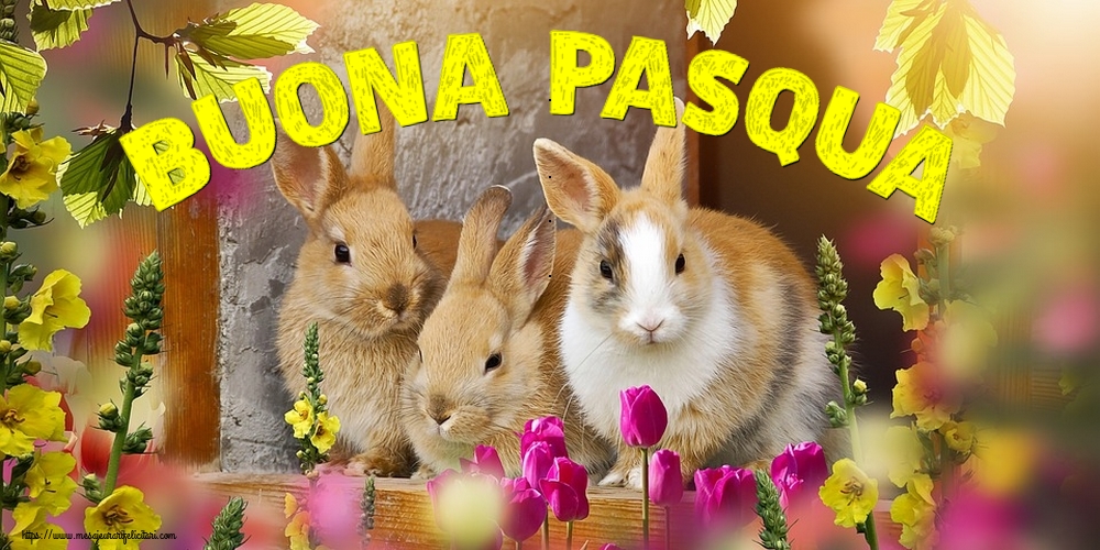 Felicitari de Paste in Italiana - Buona Pasqua
