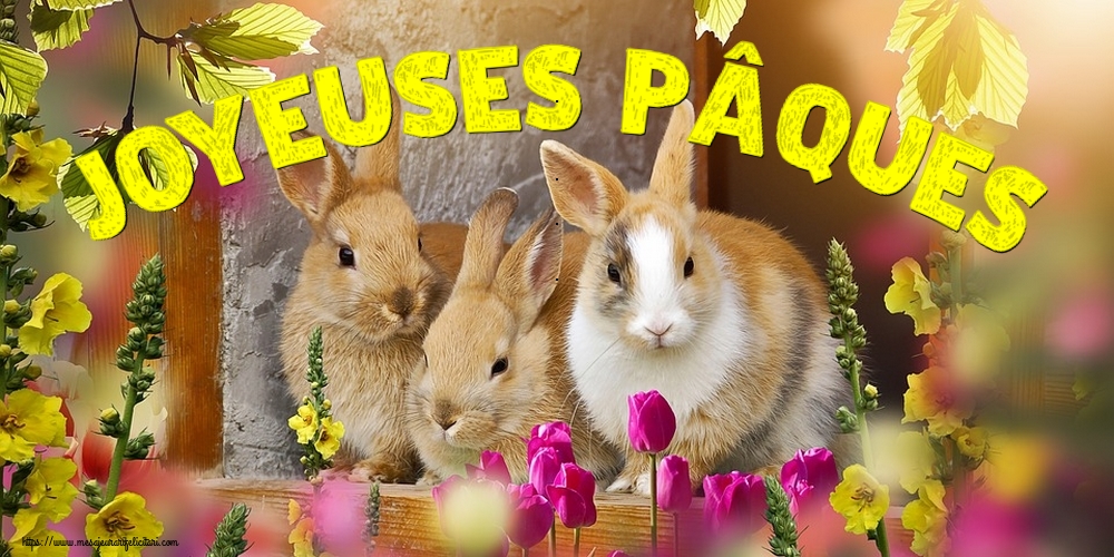 Felicitari de Paste in Franceza - Joyeuses Pâques - mesajeurarifelicitari.com