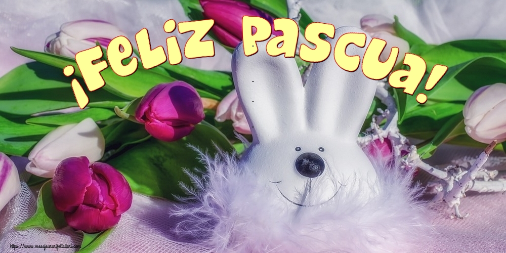 Felicitari de Paste in Spaniola - ¡Feliz Pascua!