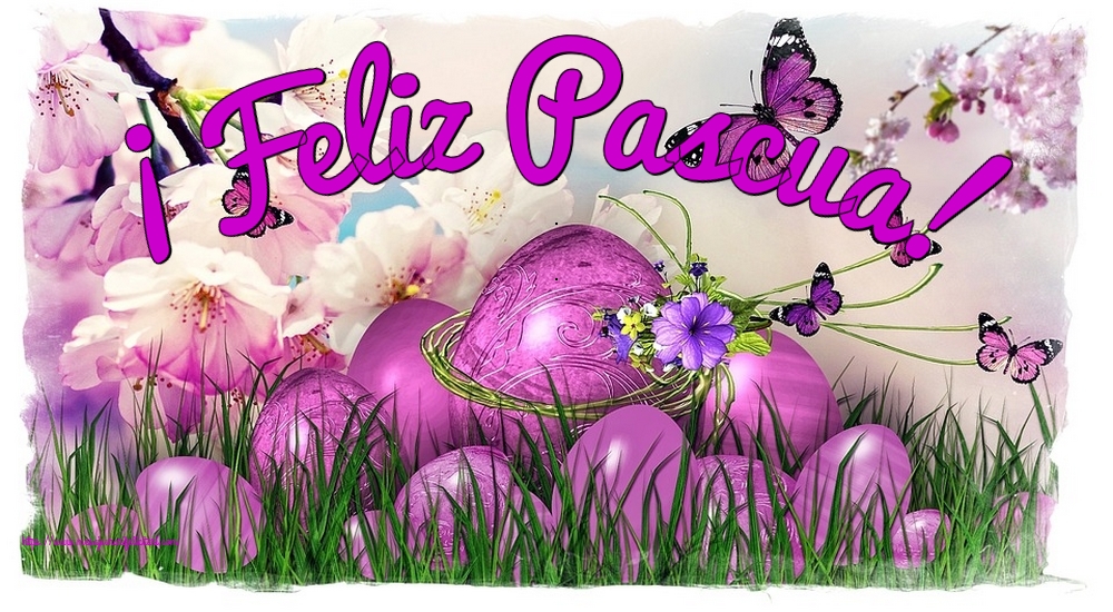 Felicitari de Paste in Spaniola - ¡Feliz Pascua!