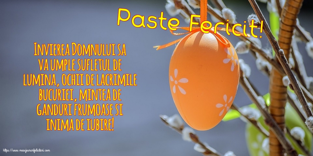 Paste Fericit!