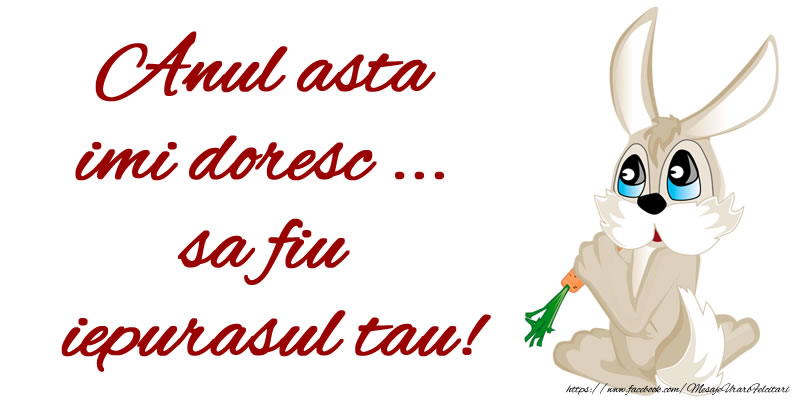 Anul asta imi doresc ... sa fiu iepurasul tau!