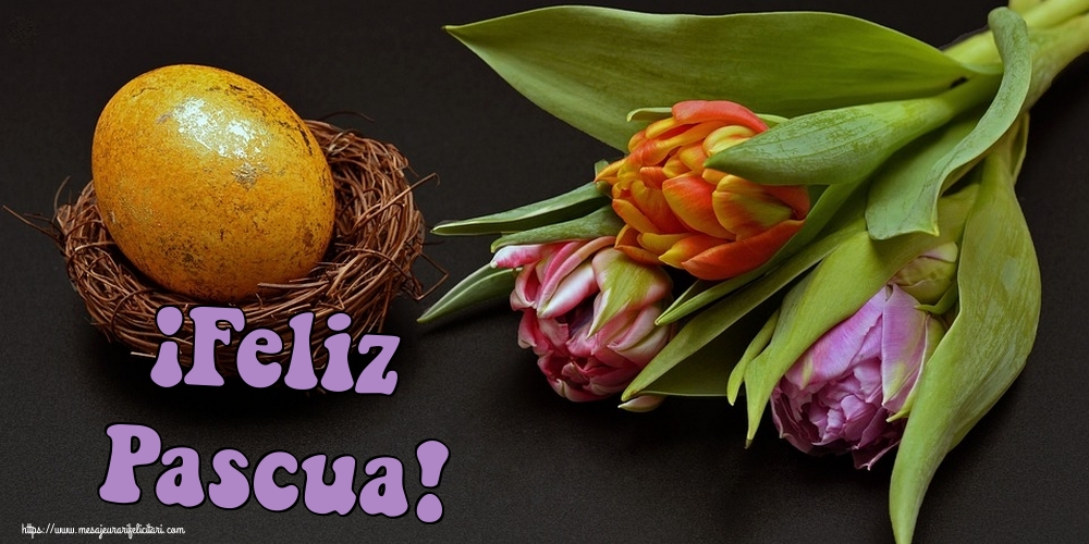 Felicitari de Paste in Spaniola - ¡Feliz Pascua!