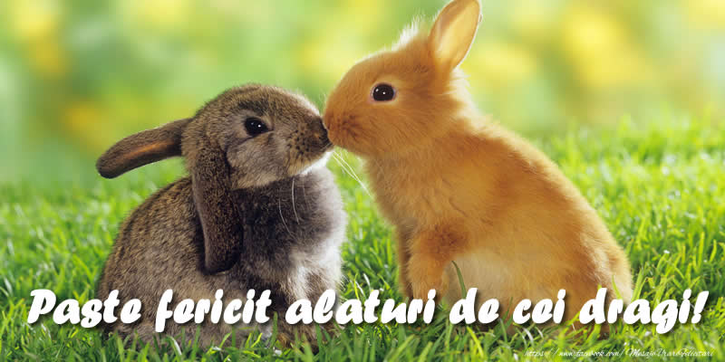 Felicitari de Paste - Paste fericit alaturi de cei dragi! - mesajeurarifelicitari.com