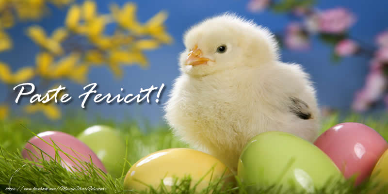 Felicitari de Paste - Paste Fericit! - mesajeurarifelicitari.com
