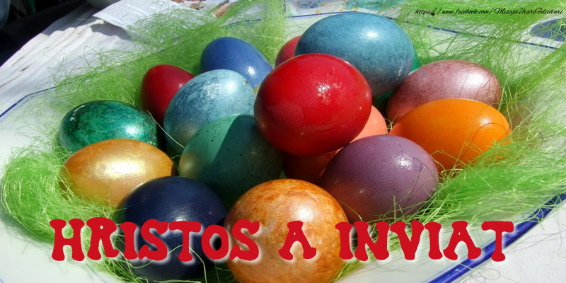 Felicitari de Paste - Hristos a inviat! - mesajeurarifelicitari.com