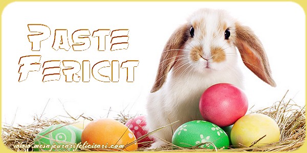 Paste Fericit