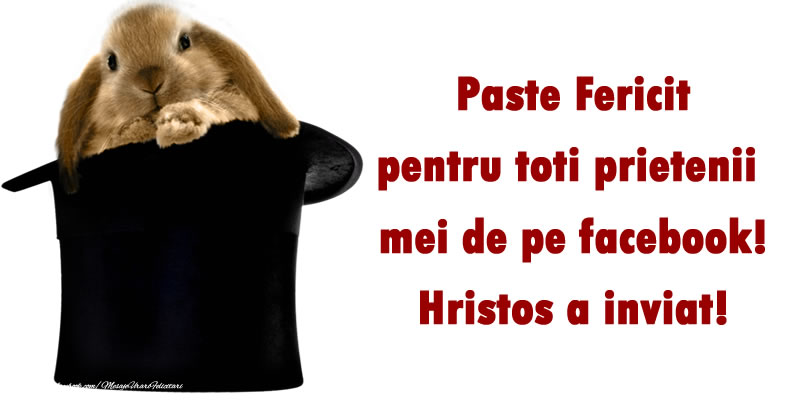 Felicitari de Paste - Paste Fericit pentru toti prietenii mei de pe facebook! Hristos a inviat! - mesajeurarifelicitari.com