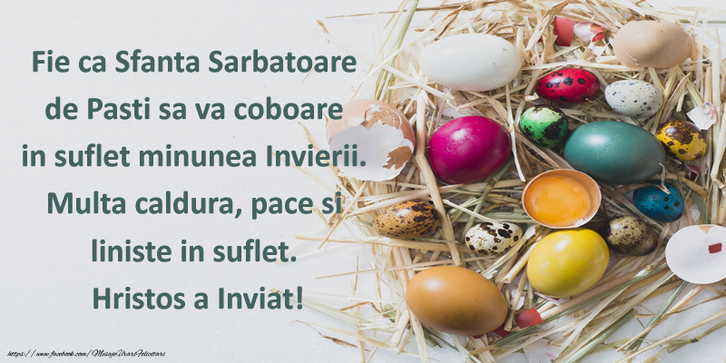 Fie ca Sfanta Sarbatoare de Pasti sa va coboare in suflet minunea Invierii. Multa caldura, pace si liniste in suflet. Hristos a Inviat!