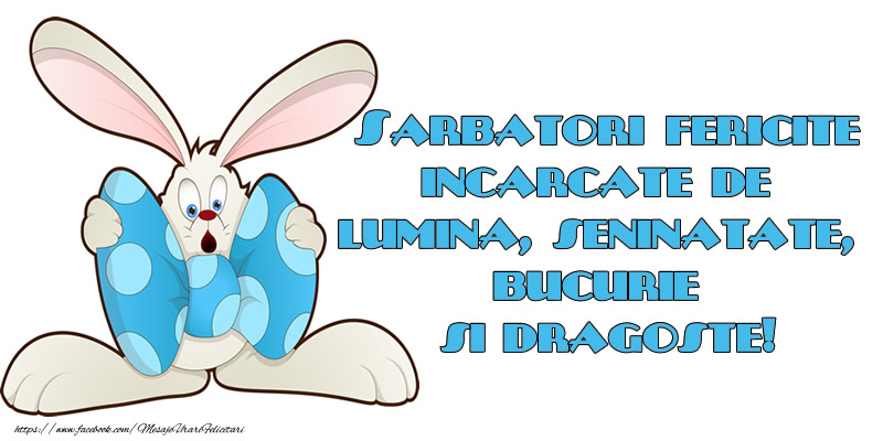 Sarbatori fericite incarcate de lumina, seninatate, bucurie si dragoste!