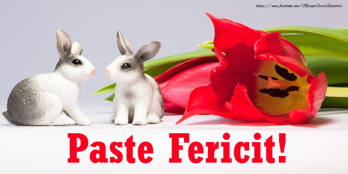 Paste Fericit!