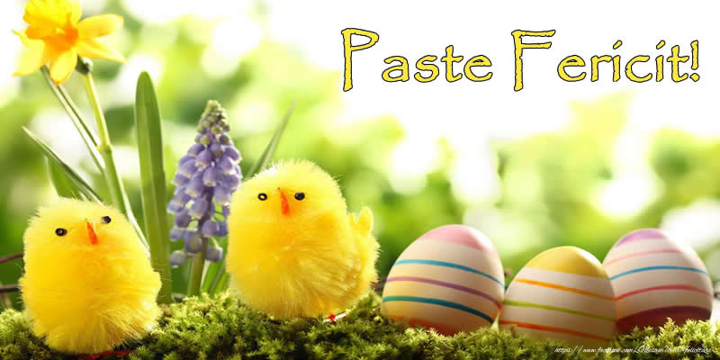 Paste Fericit!