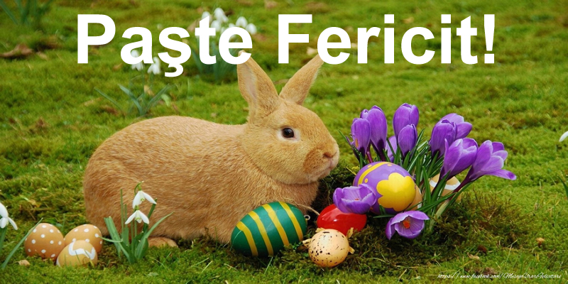 Paşte Fericit!