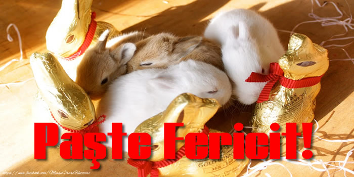 Paşte Fericit!