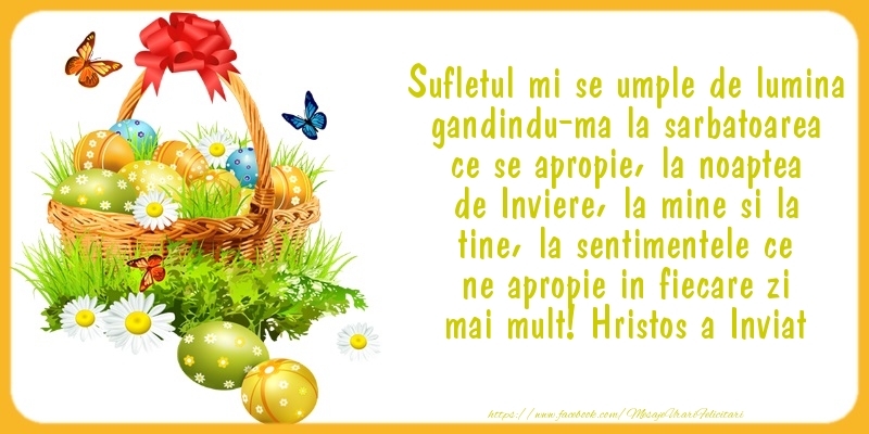 Sufletul mi se umple de lumina gandindu-ma la sarbatoarea ce se apropie, la noaptea de Inviere, la mine si la tine, la sentimentele ce ne apropie in fiecare zi mai mult! Hristos a Inviat